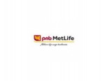 PNB Metlife