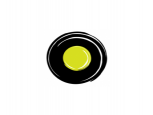 Ola (ANI Technologies Pvt Ltd)