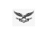 Eagle 4SS