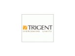 Trigent Software Inc