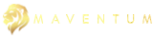 MANVENTUM TECH SOLUTION PVT LTD