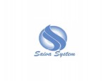 SAIVA SYSTEM INDIA PRIVATE LIMITED