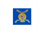 Bharati Vidyapeeth