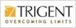 Trigent Software Ltd