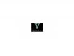 Vincent Career Hub