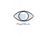 PupilMesh Private Limited