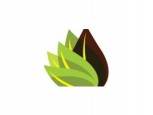 Logo SYNERGY MEDSOL PRIVATE LIMITED