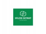 Splend Detroit IT Solutions Pvt Ltd