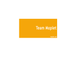 Team Moplet Pvt Ltd