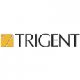 Trigent Software Limited
