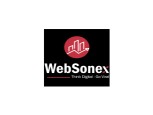 WebSonex - Digital Marketing Agency
