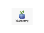 Logo Blueberry Group