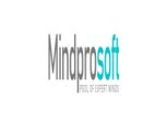 Mindpro Technologies Private Limited