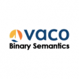 Vaco Binary Semantics LLP