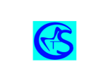 Core Minds Tech Solutions