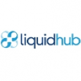 Liquid Hub Analytics Ltd