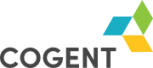 Cogent E Services Pvt Ltd